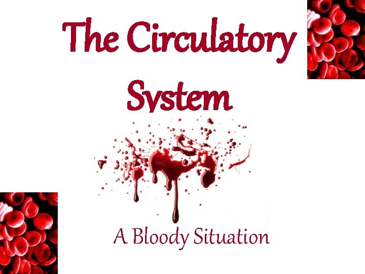 The Circulatory System A Bloody Situation 