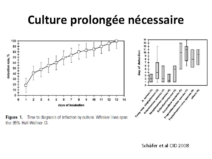 Culture prolongée nécessaire Schäfer et al CID 2008 