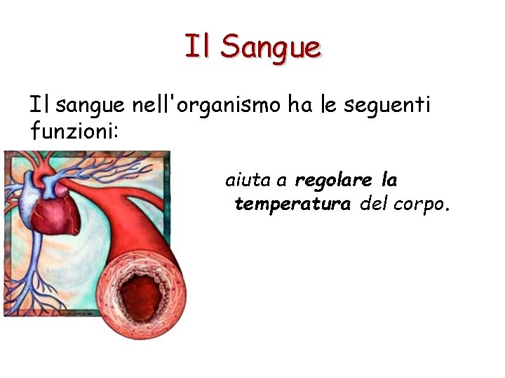 Il Sangue Il sangue nell'organismo ha le seguenti funzioni: aiuta a regolare la temperatura