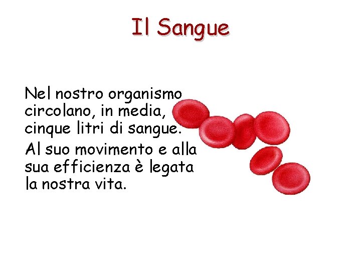 Il Sangue Nel nostro organismo circolano, in media, cinque litri di sangue. Al suo