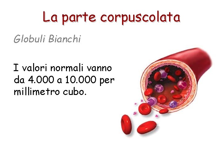 La parte corpuscolata Globuli Bianchi I valori normali vanno da 4. 000 a 10.