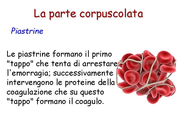 La parte corpuscolata Piastrine Le piastrine formano il primo "tappo" che tenta di arrestare