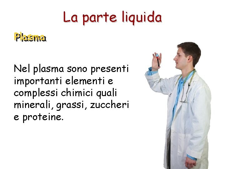 La parte liquida Plasma Nel plasma sono presenti importanti elementi e complessi chimici quali