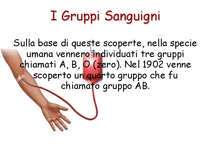 I Gruppi Sanguigni Sulla base di queste scoperte, nella specie umana vennero individuati tre