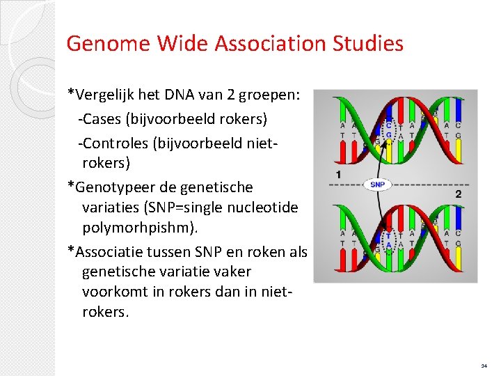 Genome Wide Association Studies *Vergelijk het DNA van 2 groepen: -Cases (bijvoorbeeld rokers) -Controles