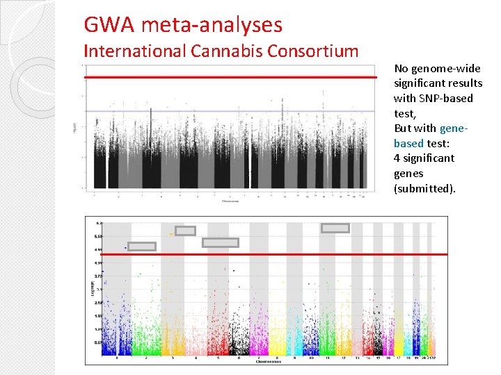 GWA meta-analyses International Cannabis Consortium No genome-wide significant results with SNP-based test, But with