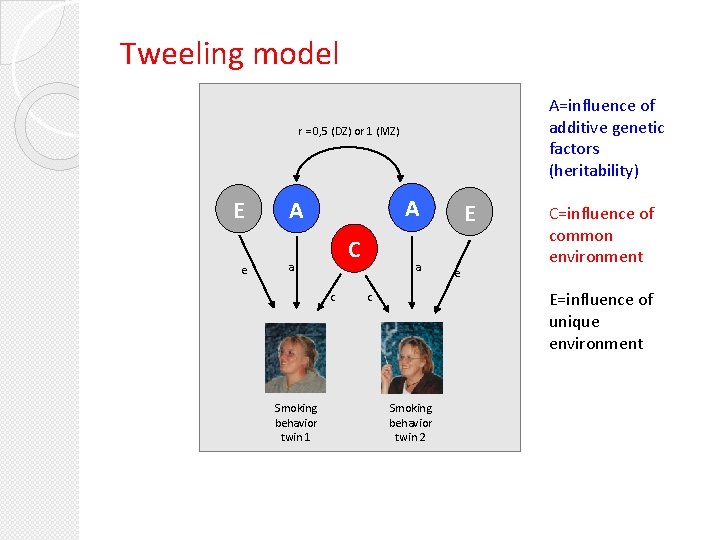 Tweeling model A=influence of additive genetic factors (heritability) r = 0, 5 (DZ) or