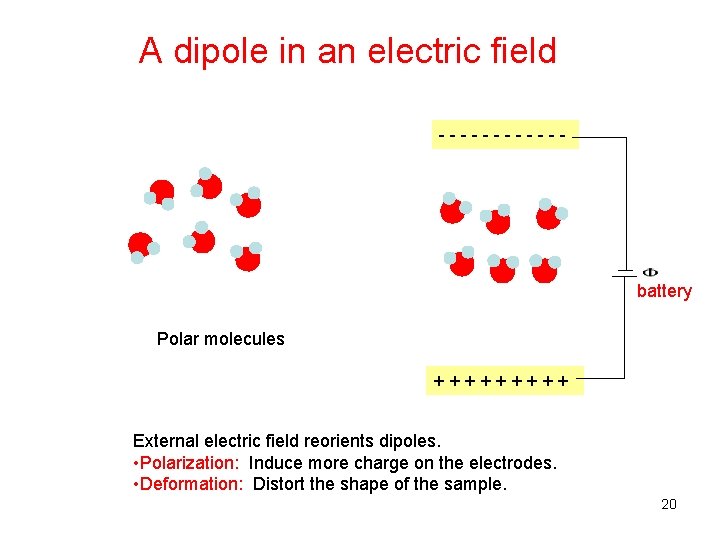 A dipole in an electric field ------ battery Polar molecules +++++ External electric field