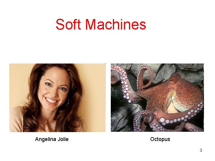 Soft Machines Angelina Jolie Octopus 3 