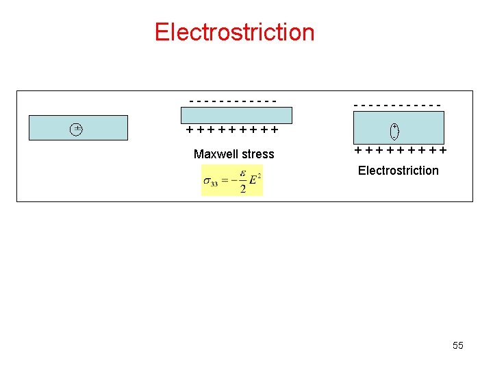 Electrostriction ------+++++ Maxwell stress ------+ - +++++ Electrostriction 55 