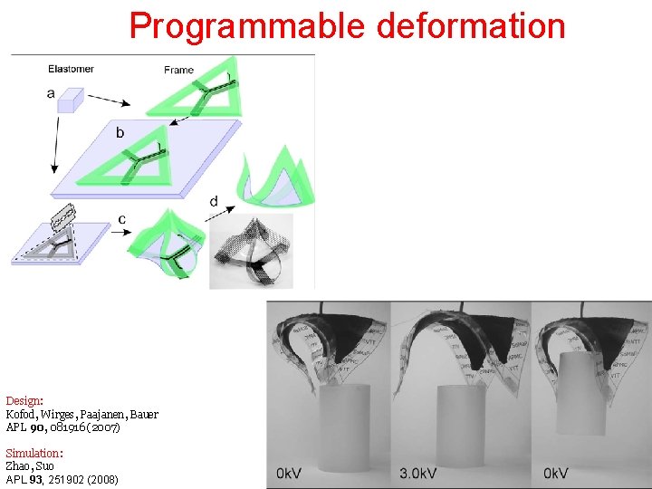 Programmable deformation Design: Kofod, Wirges, Paajanen, Bauer APL 90, 081916 (2007) Simulation: Zhao, Suo