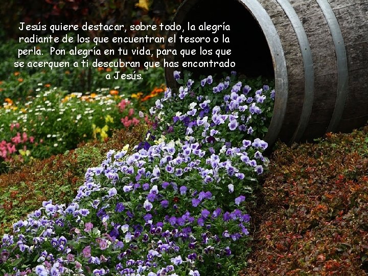Jesús quiere destacar, sobre todo, la alegría radiante de los que encuentran el tesoro