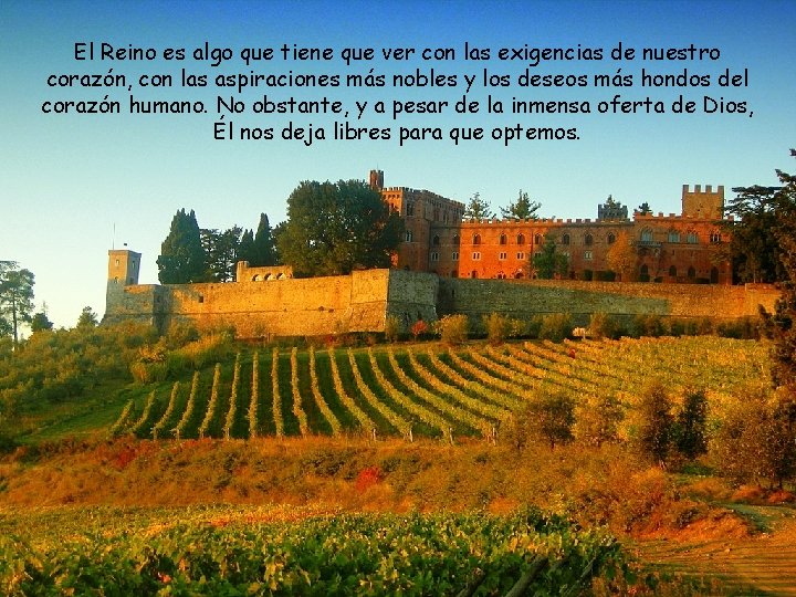 El Reino es algo que tiene que ver con las exigencias de nuestro corazón,