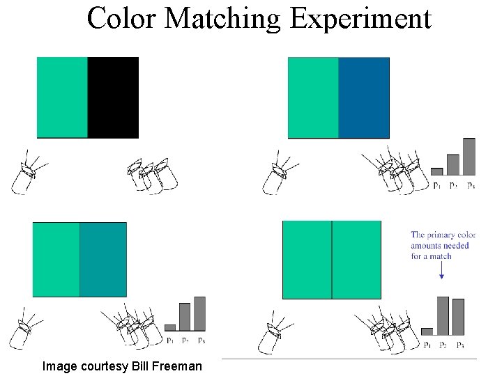 Color Matching Experiment Image courtesy Bill Freeman 