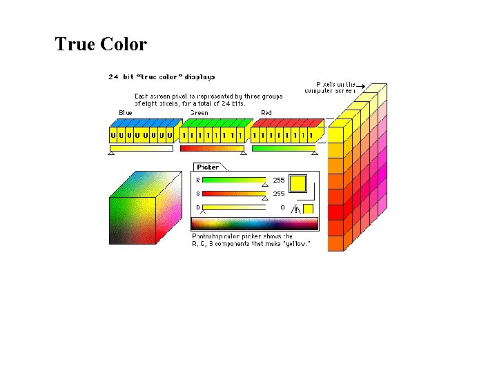 True Color 