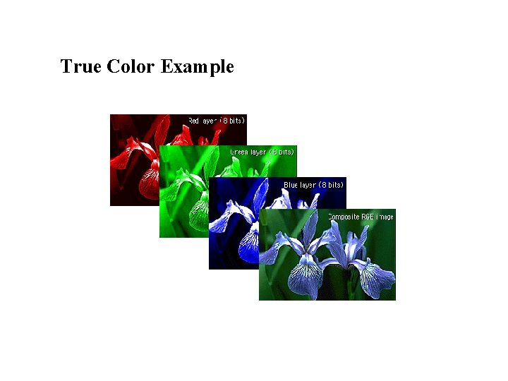 True Color Example 