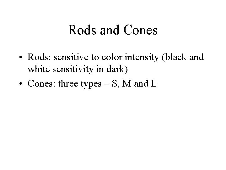 Rods and Cones • Rods: sensitive to color intensity (black and white sensitivity in