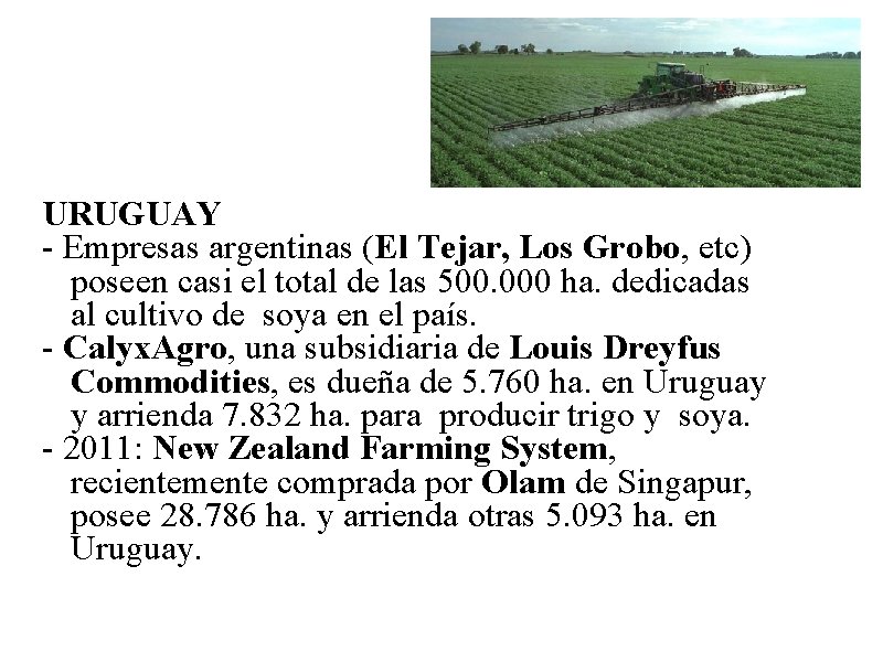 URUGUAY - Empresas argentinas (El Tejar, Los Grobo, etc) poseen casi el total de