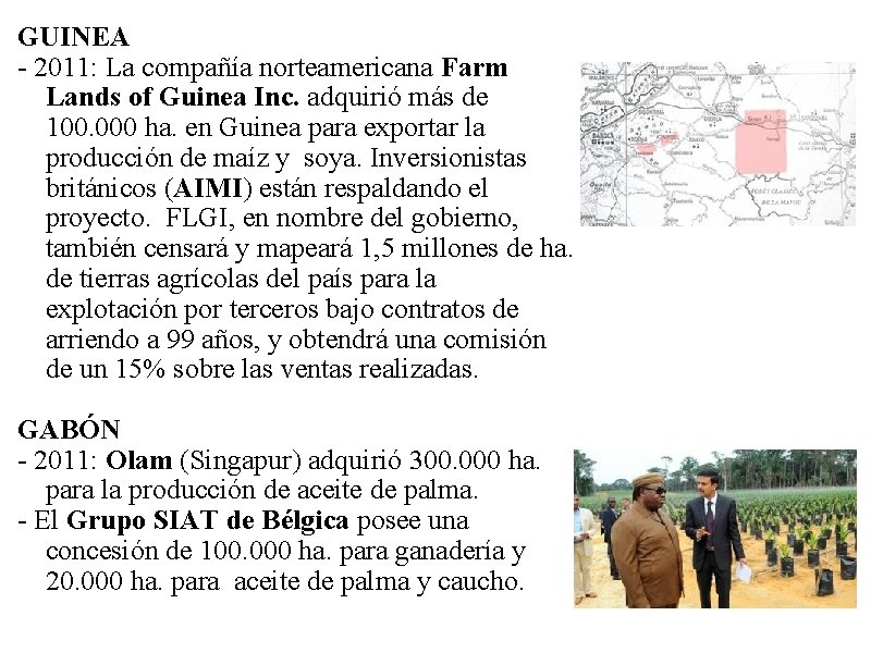 GUINEA - 2011: La compañía norteamericana Farm Lands of Guinea Inc. adquirió más de