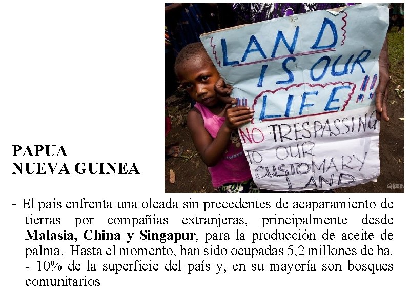 PAPUA NUEVA GUINEA - El país enfrenta una oleada sin precedentes de acaparamiento de