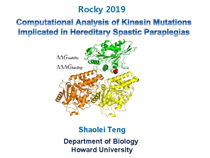 Rocky 2019 Shaolei Teng Department of Biology Howard