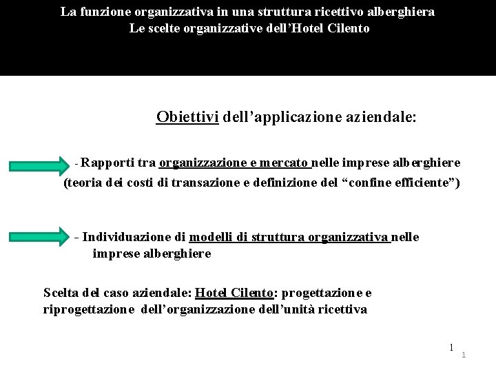 La funzione organizzativa in una struttura ricettivo alberghiera Le scelte organizzative dell’Hotel Cilento Obiettivi