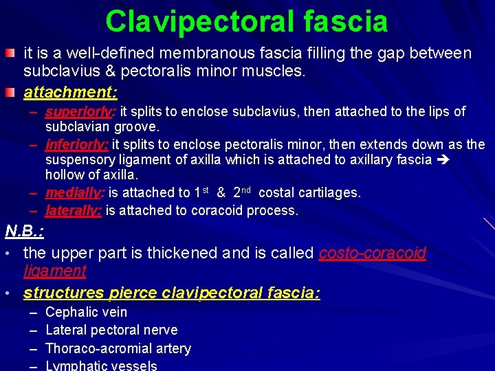 Clavipectoral fascia it is a well-defined membranous fascia filling the gap between subclavius &