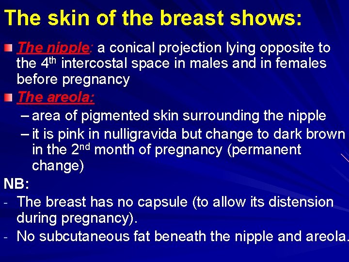 The skin of the breast shows: The nipple: a conical projection lying opposite to