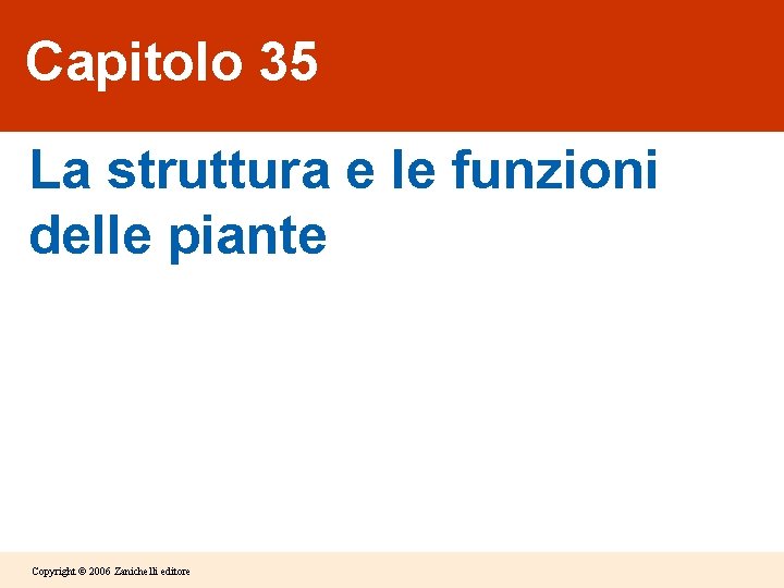 Capitolo 35 La struttura e le funzioni delle piante Copyright © 2006 Zanichelli editore