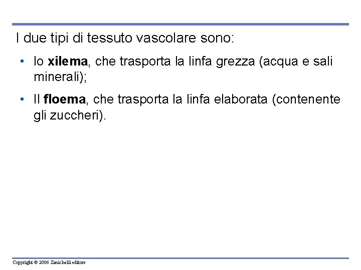 I due tipi di tessuto vascolare sono: • lo xilema, che trasporta la linfa