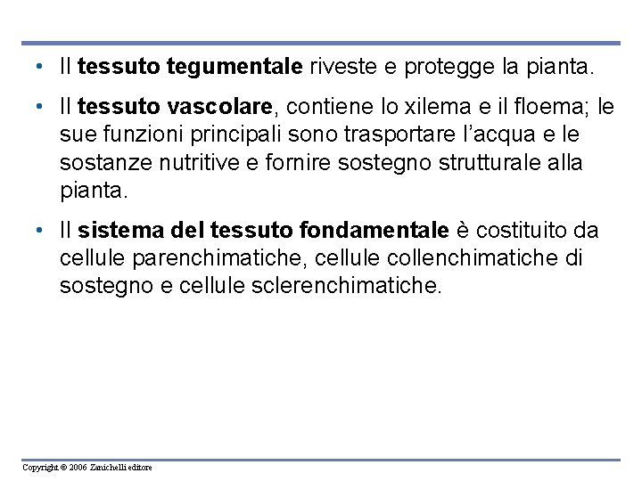  • Il tessuto tegumentale riveste e protegge la pianta. • Il tessuto vascolare,