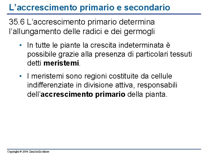 L’accrescimento primario e secondario 35. 6 L’accrescimento primario determina l’allungamento delle radici e dei