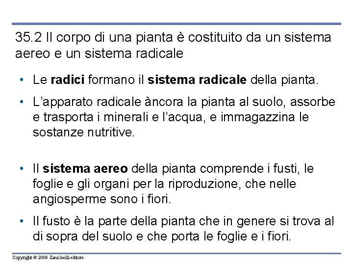 35. 2 Il corpo di una pianta è costituito da un sistema aereo e