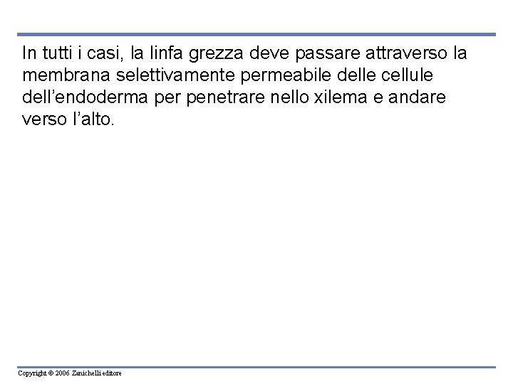 In tutti i casi, la linfa grezza deve passare attraverso la membrana selettivamente permeabile