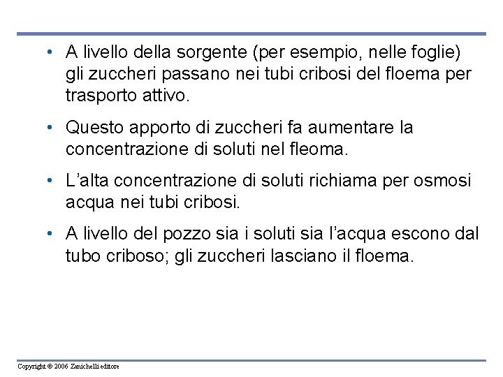 • A livello della sorgente (per esempio, nelle foglie) gli zuccheri passano nei