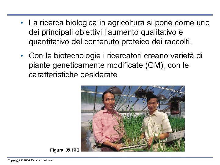  • La ricerca biologica in agricoltura si pone come uno dei principali obiettivi