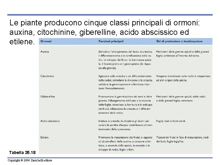 Le piante producono cinque classi principali di ormoni: auxina, citochinine, giberelline, acido abscissico ed