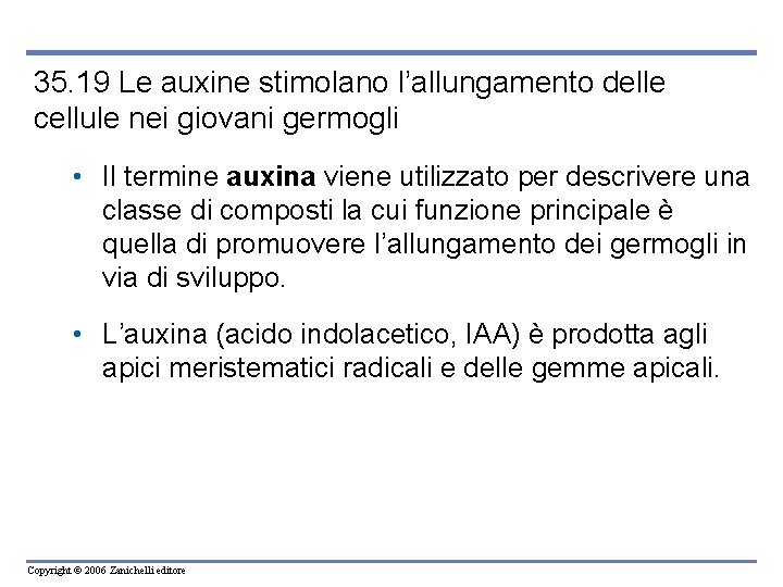 35. 19 Le auxine stimolano l’allungamento delle cellule nei giovani germogli • Il termine
