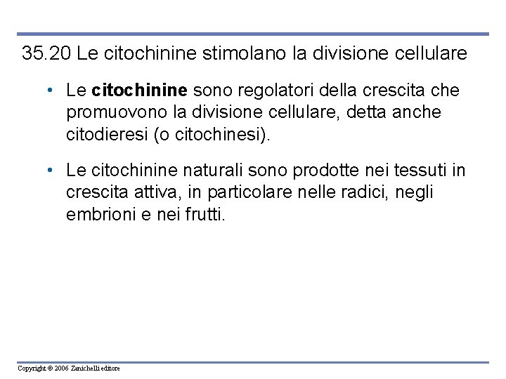 35. 20 Le citochinine stimolano la divisione cellulare • Le citochinine sono regolatori della