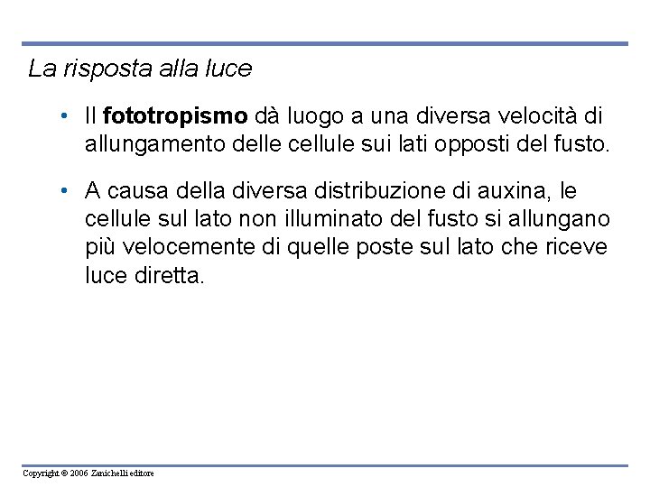 La risposta alla luce • Il fototropismo dà luogo a una diversa velocità di
