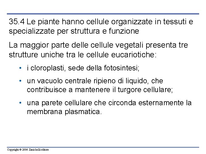 35. 4 Le piante hanno cellule organizzate in tessuti e specializzate per struttura e