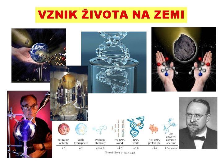 VZNIK ŽIVOTA NA ZEMI VZNIK ŽIVOTA NA ZEMI