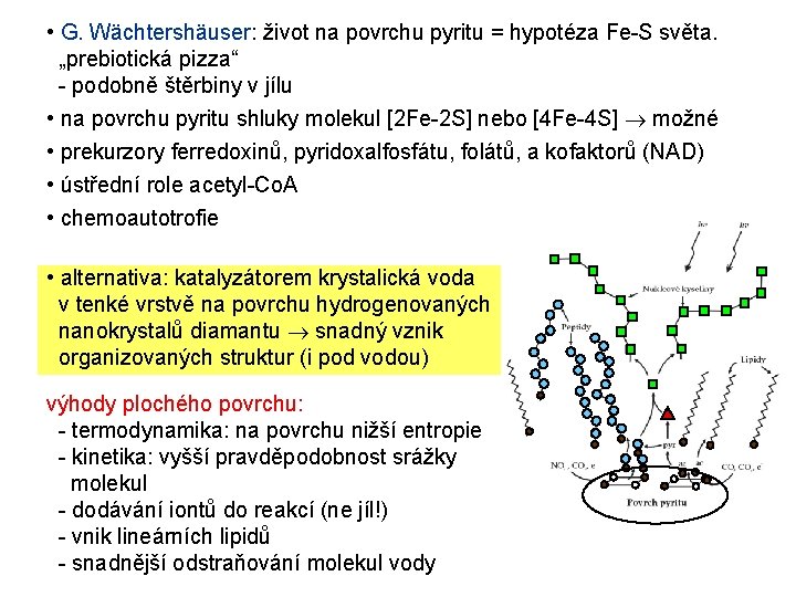 • G. Wächtershäuser: život na povrchu pyritu = hypotéza Fe-S světa. „prebiotická pizza“ • G. Wächtershäuser: život na povrchu pyritu = hypotéza Fe-S světa. „prebiotická pizza“