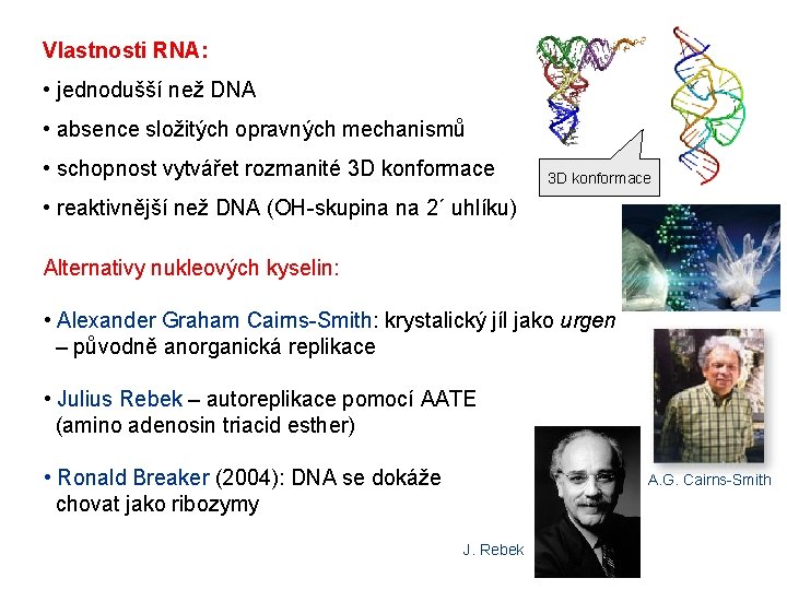Vlastnosti RNA: • jednodušší než DNA • absence složitých opravných mechanismů • schopnost vytvářet Vlastnosti RNA: • jednodušší než DNA • absence složitých opravných mechanismů • schopnost vytvářet