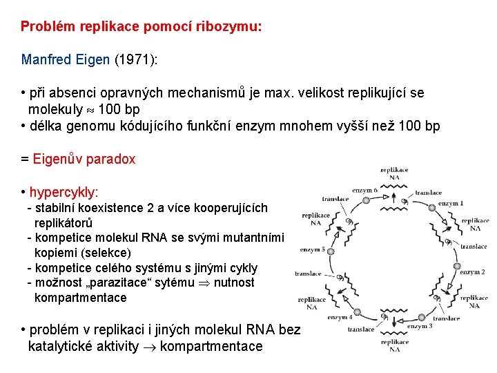 Problém replikace pomocí ribozymu: Manfred Eigen (1971): • při absenci opravných mechanismů je max. Problém replikace pomocí ribozymu: Manfred Eigen (1971): • při absenci opravných mechanismů je max.