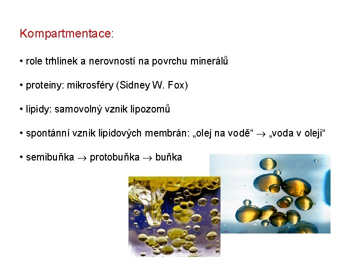 Kompartmentace: • role trhlinek a nerovností na povrchu minerálů • proteiny: mikrosféry (Sidney W. Kompartmentace: • role trhlinek a nerovností na povrchu minerálů • proteiny: mikrosféry (Sidney W.