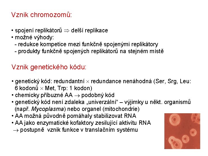 Vznik chromozomů: • spojení replikátorů delší replikace • možné výhody: - redukce kompetice mezi Vznik chromozomů: • spojení replikátorů delší replikace • možné výhody: - redukce kompetice mezi