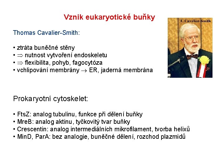 Vznik eukaryotické buňky Thomas Cavalier-Smith: • ztráta buněčné stěny • nutnost vytvoření endoskeletu • Vznik eukaryotické buňky Thomas Cavalier-Smith: • ztráta buněčné stěny • nutnost vytvoření endoskeletu •