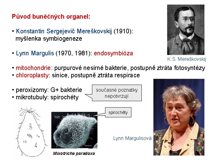 Původ buněčných organel: • Konstantin Sergejevič Mereškovskij (1910): myšlenka symbiogeneze • Lynn Margulis (1970, Původ buněčných organel: • Konstantin Sergejevič Mereškovskij (1910): myšlenka symbiogeneze • Lynn Margulis (1970,