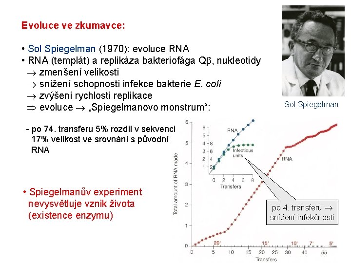 Evoluce ve zkumavce: • Sol Spiegelman (1970): evoluce RNA • RNA (templát) a replikáza Evoluce ve zkumavce: • Sol Spiegelman (1970): evoluce RNA • RNA (templát) a replikáza